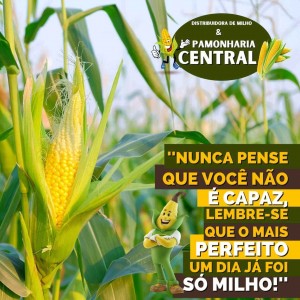 Pamonharia Central em Caldas Novas